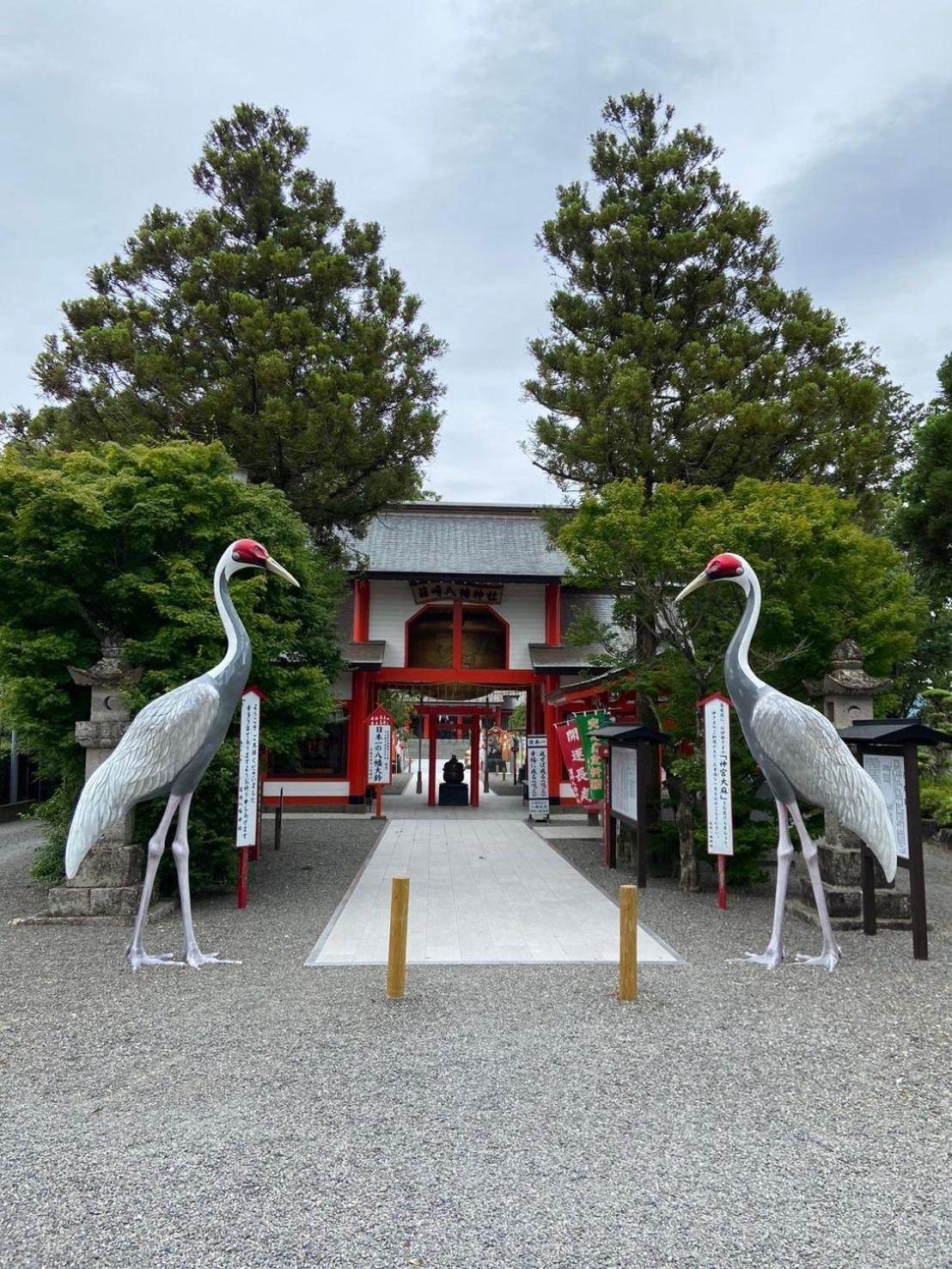 カモンイン 寿 Izumi  Eksteriør bilde