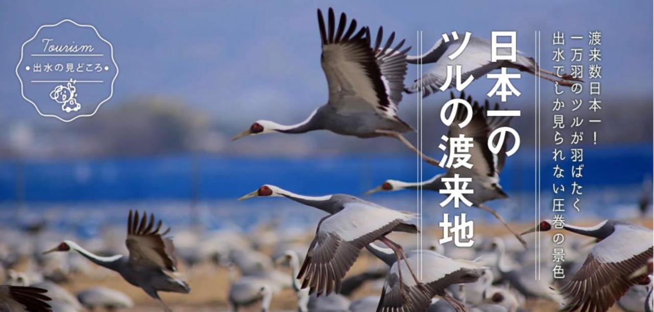 カモンイン 寿 Izumi  Eksteriør bilde